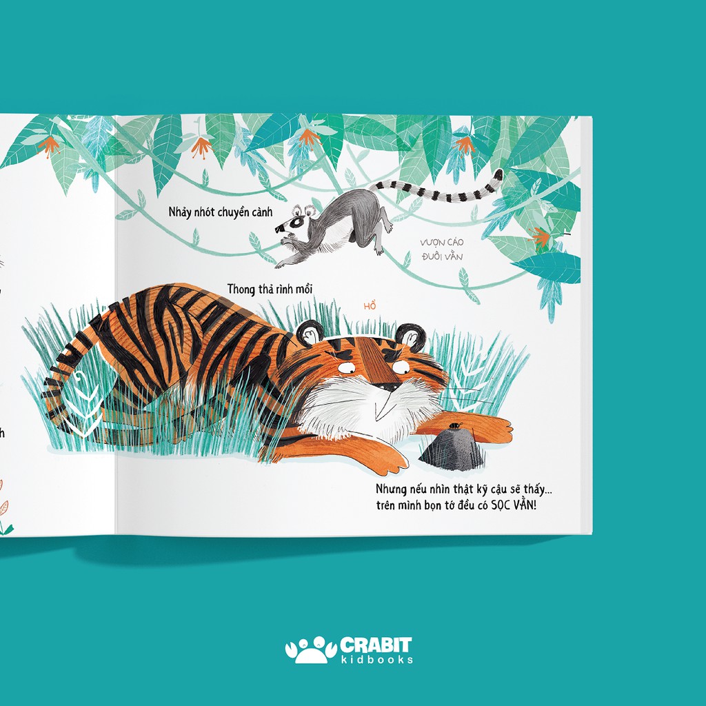 Sách - Tưởng khác mà giống - Khoa học hài hước - Crabit Kidbooks