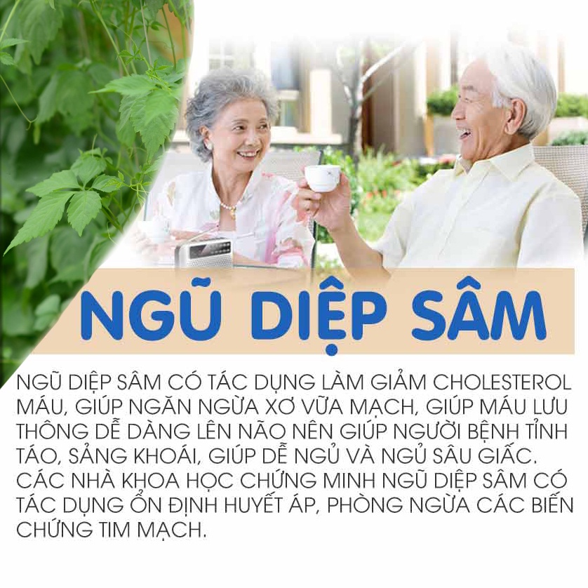 Trà Giảo Cổ Lam 5 Lá CAO BẰNG (Loại nguyên chất tự nhiên) | BigBuy360 - bigbuy360.vn