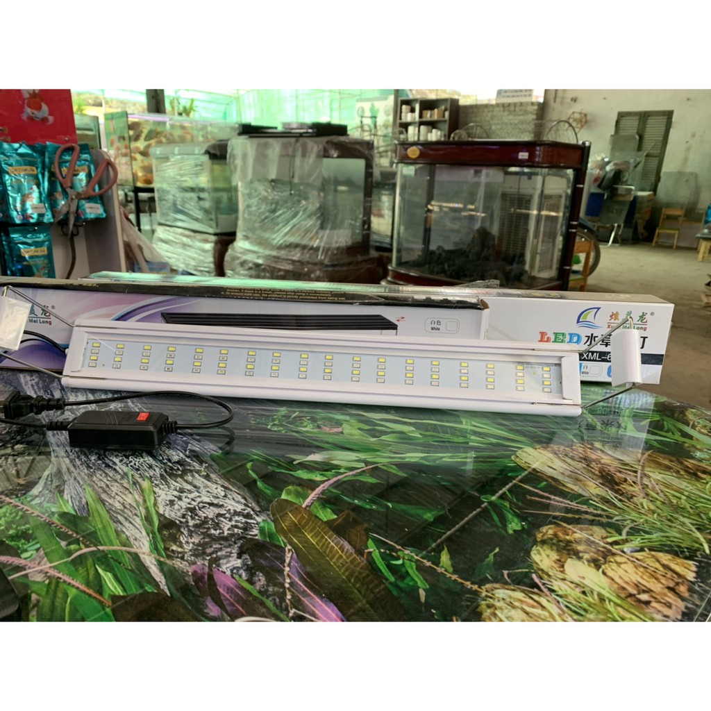 Đèn Led trắng XML 50/10W, 50/20W, 60/12W, 80/14W