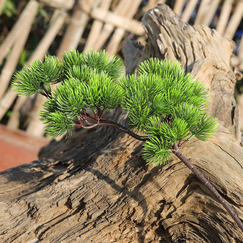 🌿 Cành Cây Tùng Nhựa🌿 - Trang trí Cây tùng giả