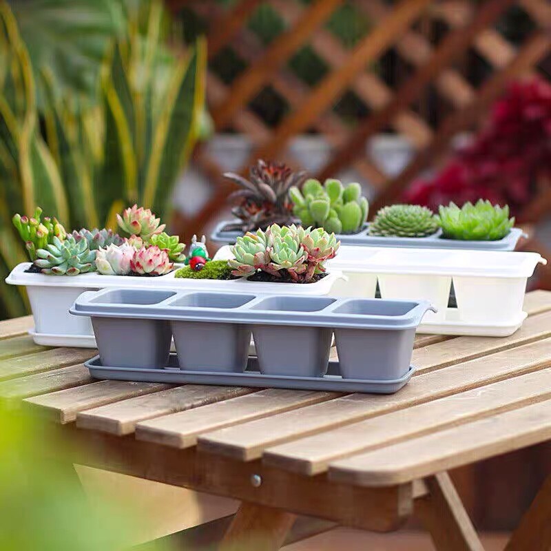 Chậu trồng cây hoa đá ,sen đá,xương rồng Oliz-T1