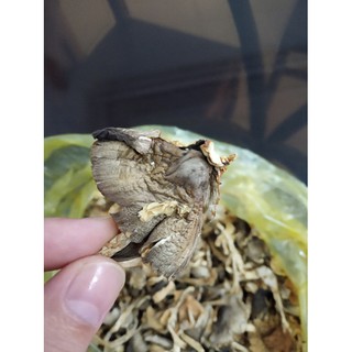 250Gr Nấm rơm sấy khô