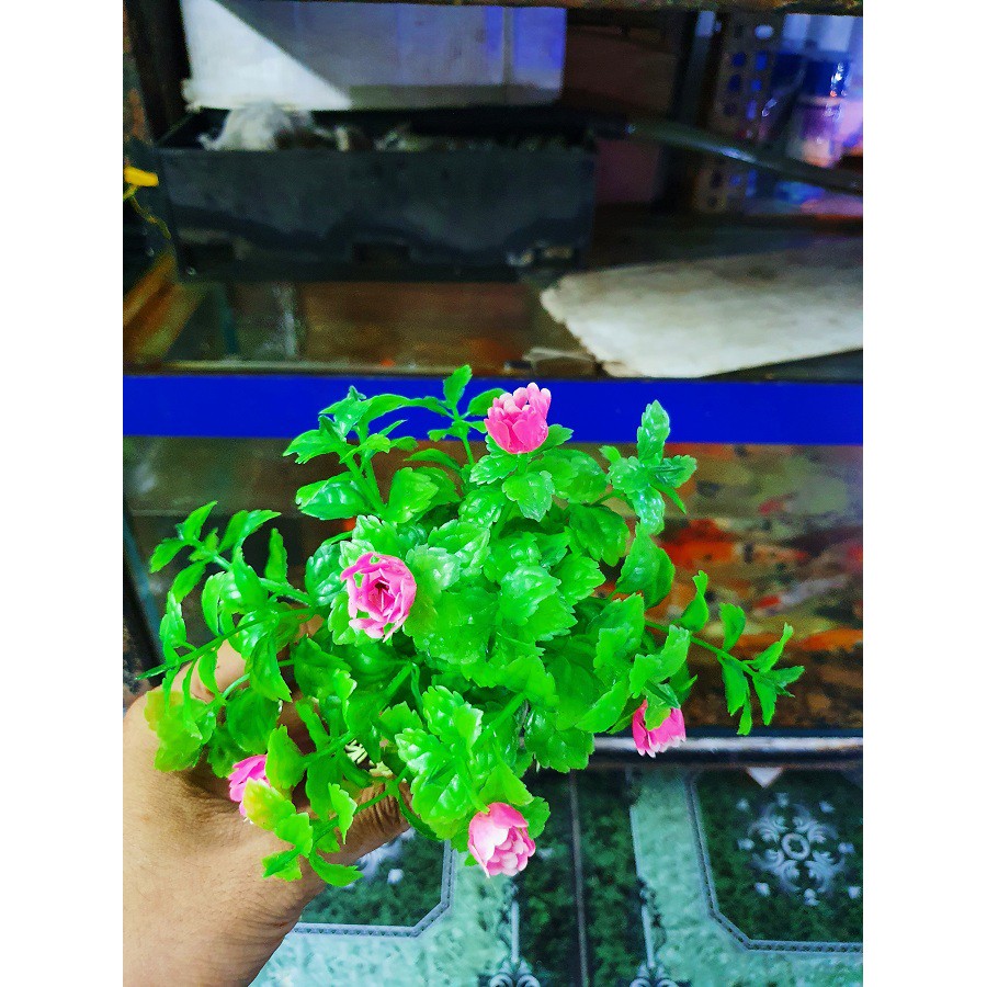 RONG GIẢ ĐẾ TRÒN TRANG TRÍ HỒ CÁ NON BỘ CAO 10CM