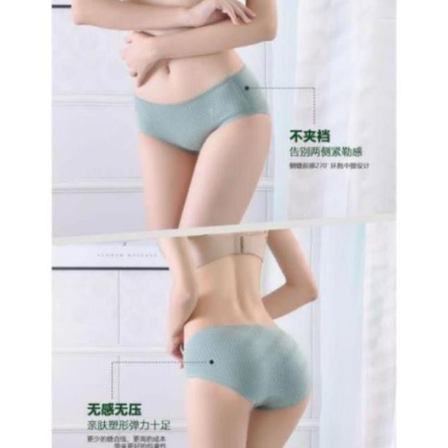 [SALE SỐC] Quần Lót Cotton Viền Ren Kháng Khuẩn Chống Viêm Nhiễm | BigBuy360 - bigbuy360.vn