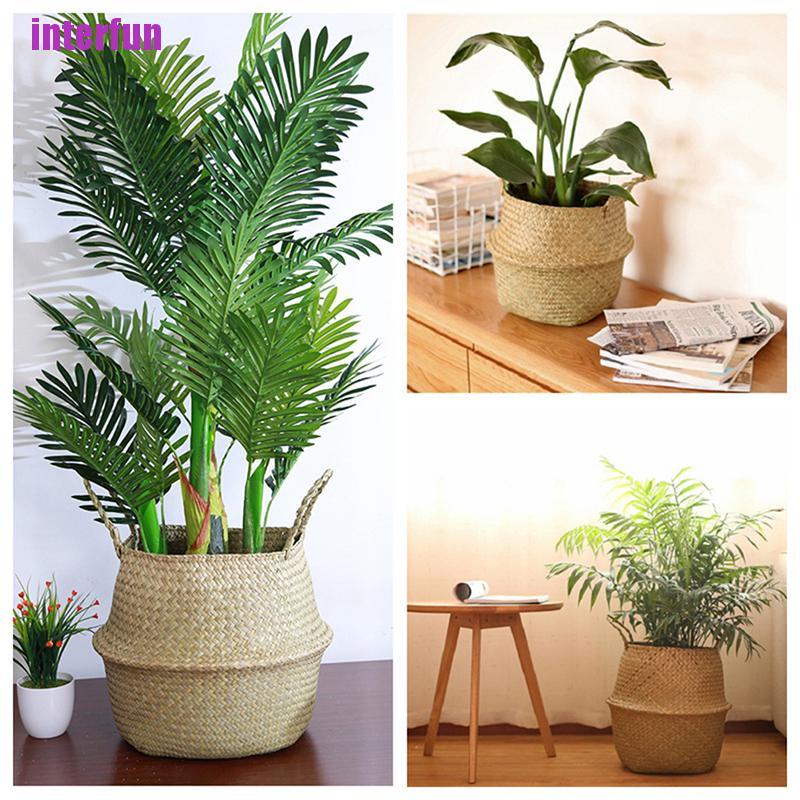 Chậu Hoa / Dụng Cụ Ăn Uống Có Thể Gập Lại Cho