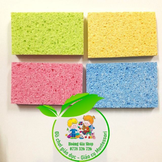 THCS - Bọt biển Cellulose Sponges