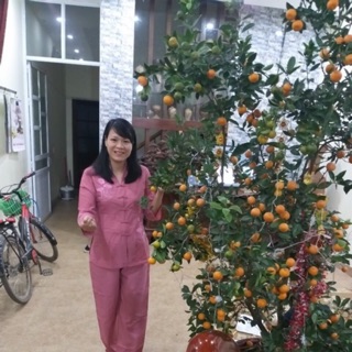 Bộ phật tử, áo đi lễ chùa thêu hoa sen