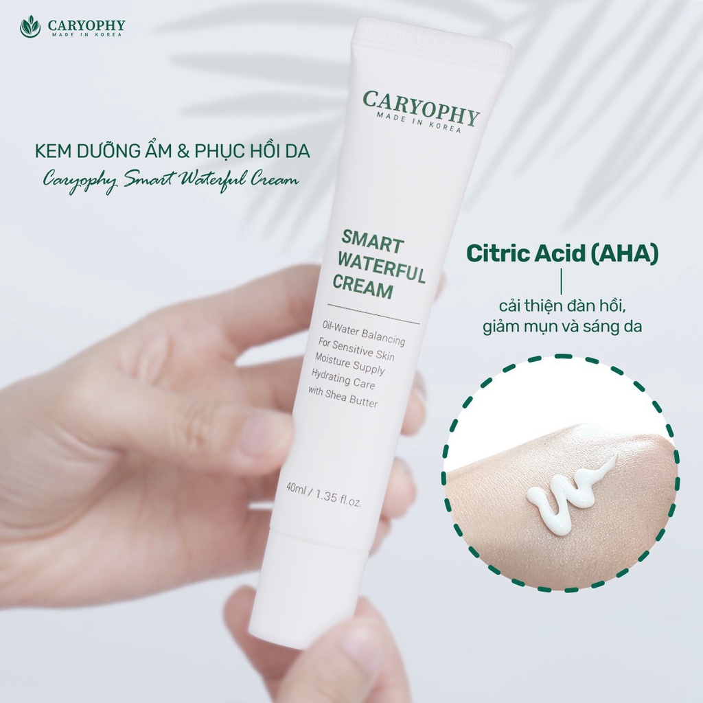 [NEW] Kem Cấp Ẩm Phục Hồi Da Caryophy Smart Waterful Cream 40ml