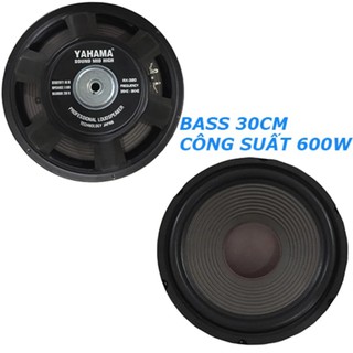 Bass loa 3 tấc karaoke ( 30 cm )