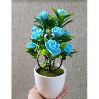 Chậu hoa hồng xinh trang trí