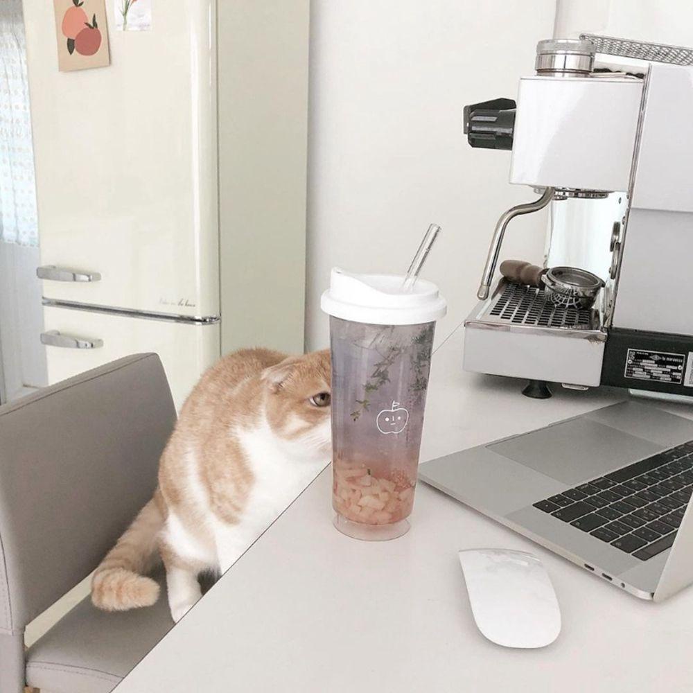 YIYU Bình Nước Trong Suốt Có Ống Hút Kiểu Dáng Đáng Yêu