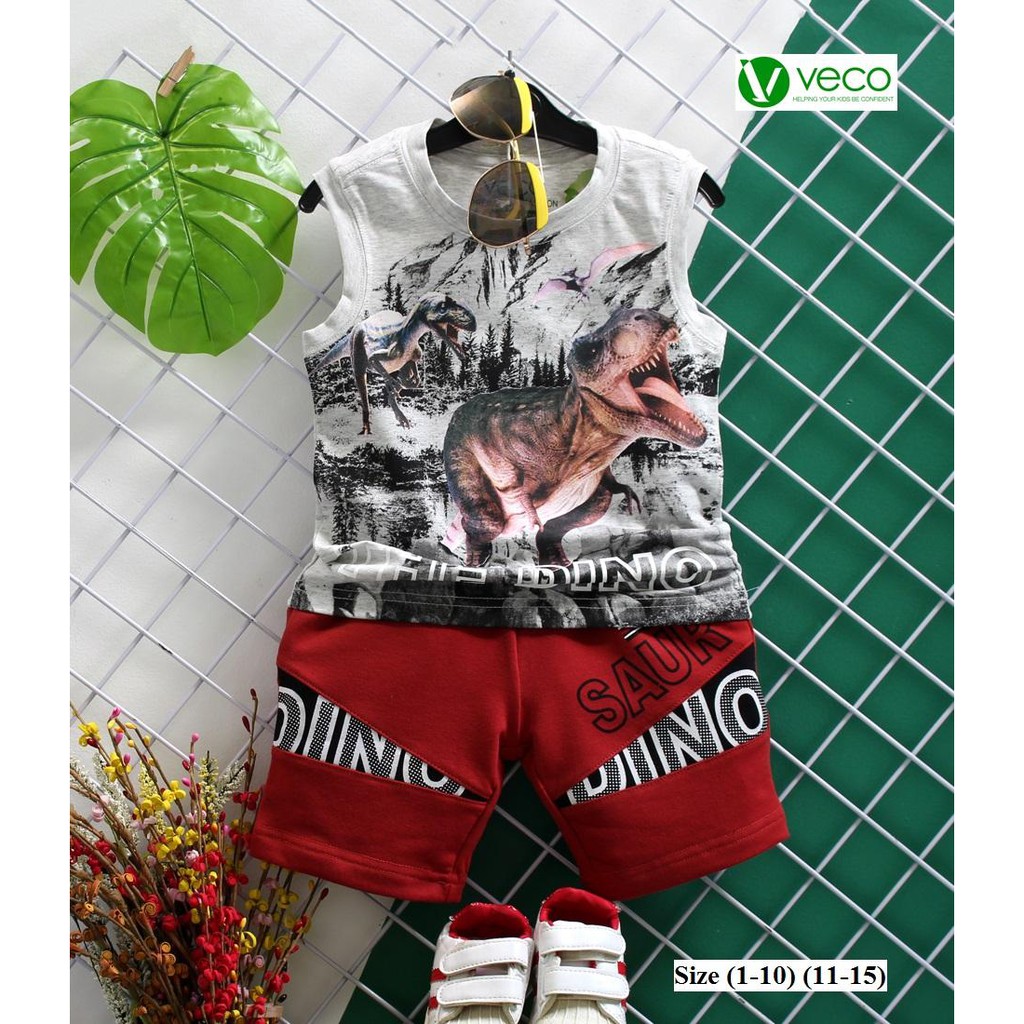 Quần áo trẻ em xuất khẩu cao cấp - Bộ thun bé trai in hình khủng long thương hiệu Veco