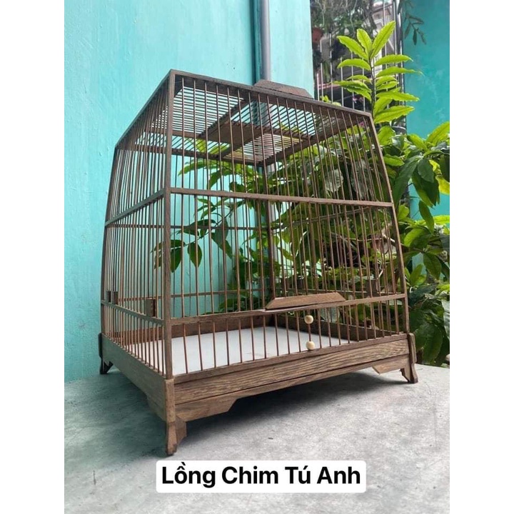 Khung lồng chim chào mào gỗ mun đuôi công BẢO ANH thái đấu, vuông đấu cực dễ lắp siêu đẹp