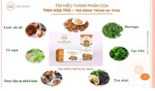 TRÀ ĐÔNG TRÙNG HẠ THẢO
