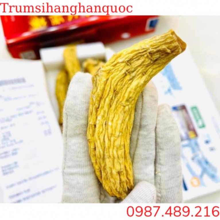 [Bạn mới nhập COSHBM -50% đơn 0Đ] Thiên Sâm Củ Khô Hộp Sắt Hàn Quốc 300g 10 củ Chuẩn Nội Địa [ Hàng Mới Về ]