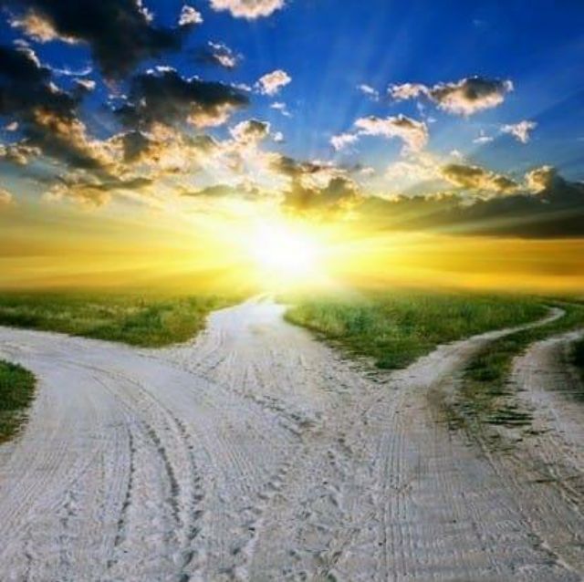 Nhà thuốc Trung Việt 2