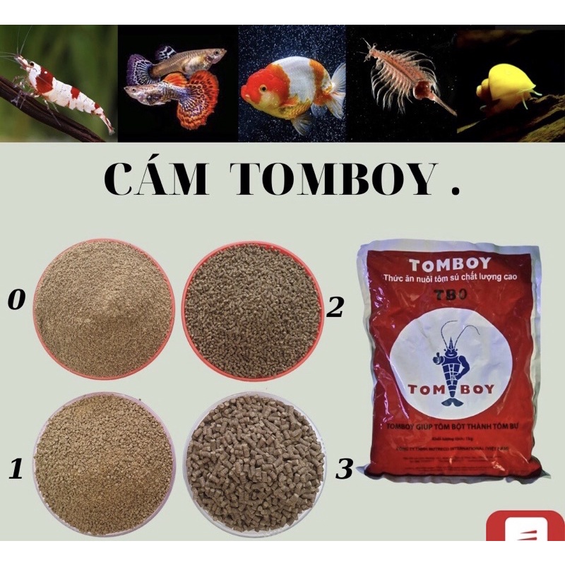 Cám TOMBOY | Thức Ăn Cho Cá Cảnh Và Tôm | Hủ 50Gram
