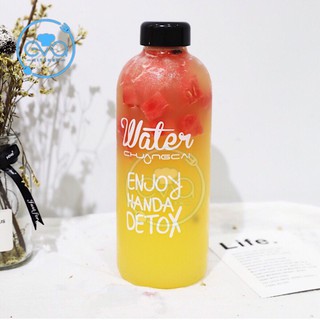 Bình Đựng Nước Thuỷ Tinh Detox 600 Ml