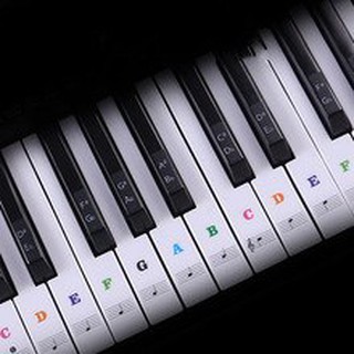 Decal dán phím Piano - Sticker dán phím màu