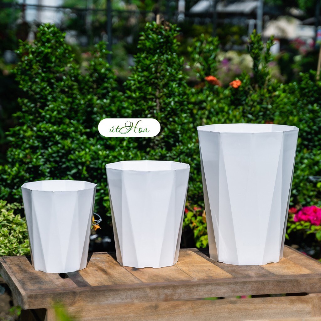 Chậu Nhựa Kim Cương 40X30Cm Loại 1 Dày, Bóng, Đủ Size