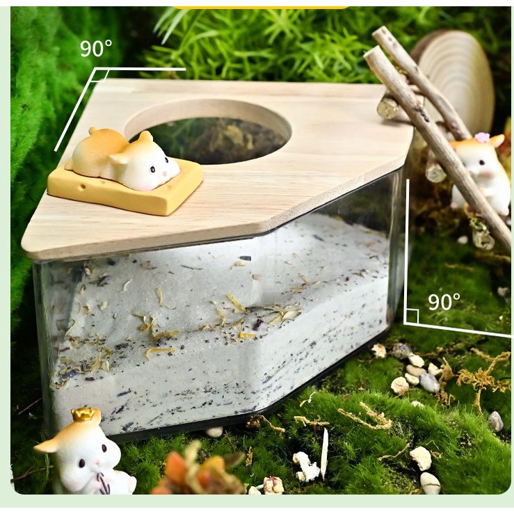 khay tròn và ngũ giác đa năng cho hamster