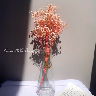 🌸FREE SHIP🌸Hoa baby khô nhiều màu, dùng decor, trang trí nhà cửa