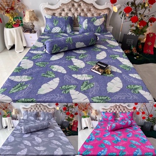 Bộ Drap thun Hàn Quốc 4 món mẫu lá siêu xinh