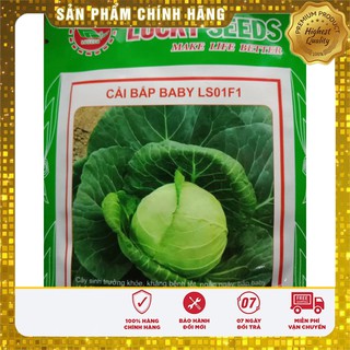 Bộ gói hạt giống Cải bắp