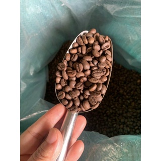 500G_ Cafe Robusta+Arabica mix tỉ lệ