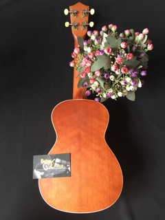 Đàn Ukulele Concert HD800 CB2