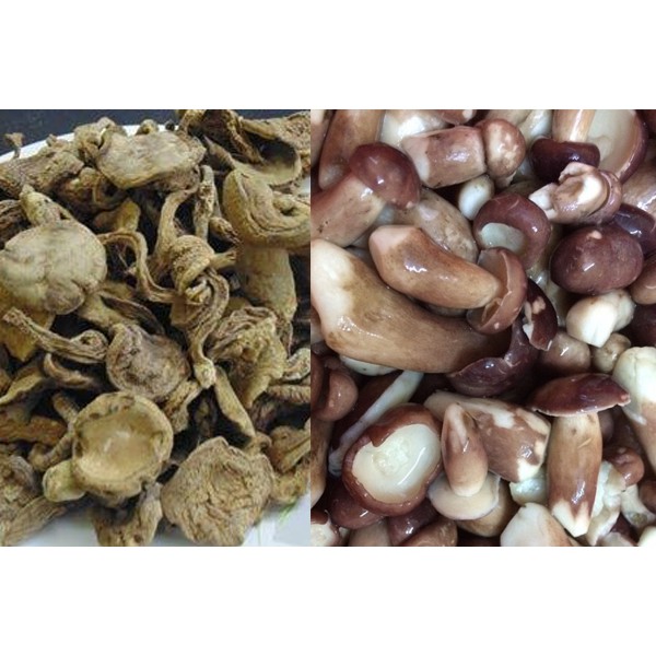 300g nấm tràm khô ngon rẻ