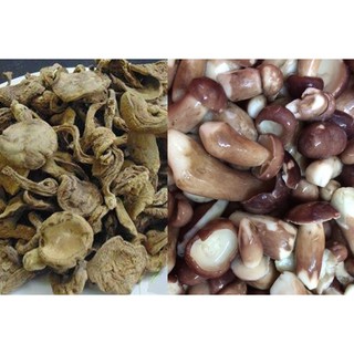 200g nấm tràm khô ngon rẻ
