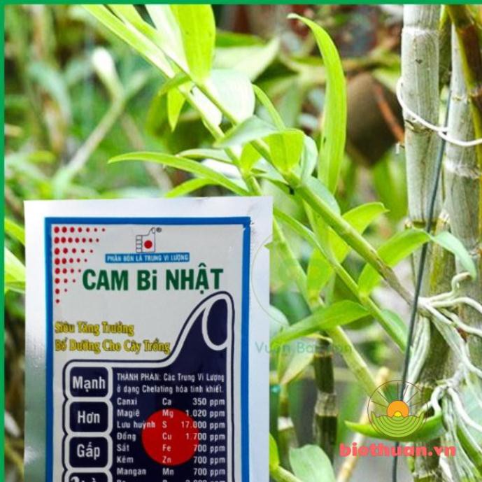 Phân Bón Bổ Sung Trung Vi Lượng Cam Bi Nhật 308 Tăng Trưởng Cây Trồng