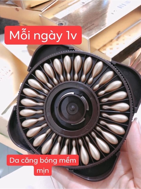 Viên Collagen tươi Ammud Multi Vita Ampoule Hàn Quốc 28 Viên