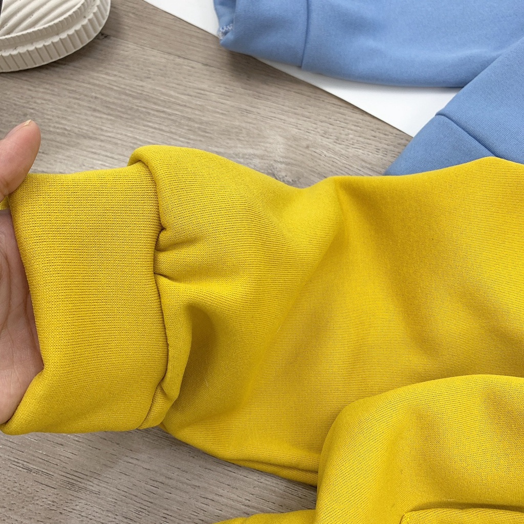 [SWEATER NỮ] Áo Hoodie Nhiều Màu, Áo Khoác Nỉ Da Cá Dày Dặn | BigBuy360 - bigbuy360.vn