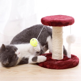 Trụ cào mèo - Cattree cào móng