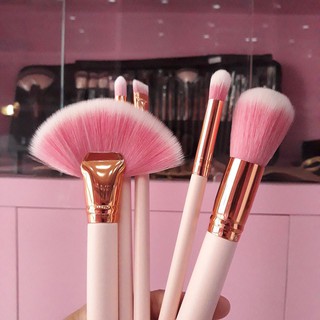 Set Cọ 10 Cây Hồng