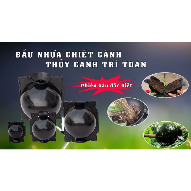 Bầu nhựa chiết cành, ươm cây thông minh đủ kích thước 4cm, 6cm, 10cm, 12cm
