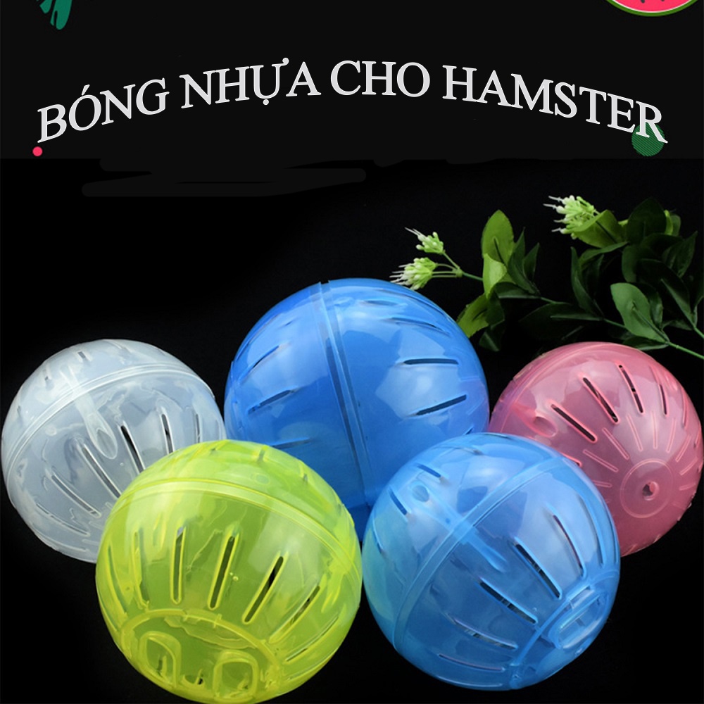 Bóng chạy hamster-đồ chơi cho hamster-Bóng nhựa chạy cho hamster (Không có đế)