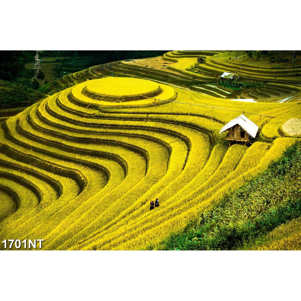 TRANH DÁN TƯỜNG 3D PHONG CẢNH,CẢNH VẬT, CẢNH TRANG TRÍ,THIÊN NHIÊN.