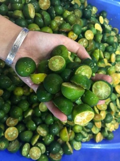 Siro Quất-húng chanh- đường phèn