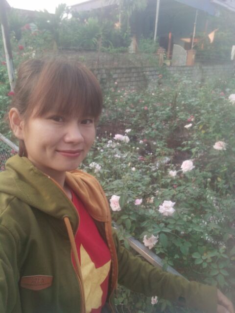 Hoa hồng cổ bạch xếp Nam Định