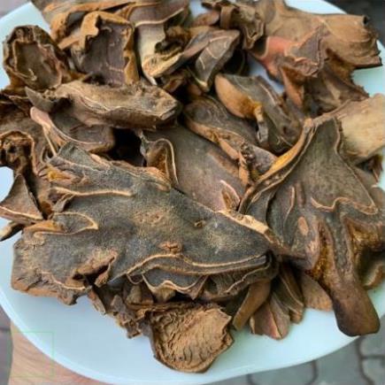 1kg Cẩu tích khô hàng loại 1