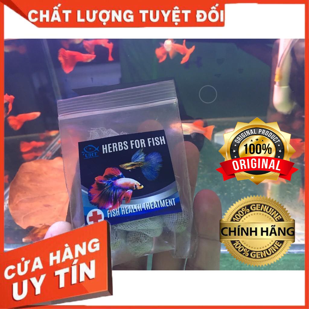 Thuốc bắc dưỡng cá cảnh