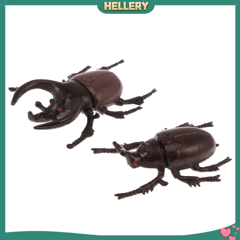 Set 10 Mô Hình Côn Trùng Bằng Nhựa Cho Bé