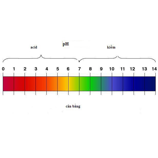 Giấy Quỳ Tím Thử Độ pH