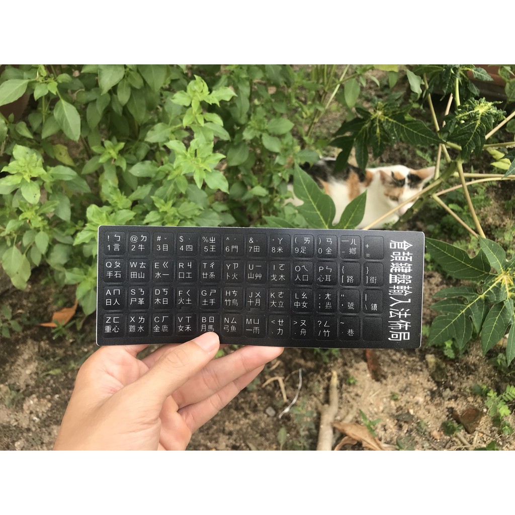 Miếng Dán Bàn Phím Tiếng Anh / Hàn / Trung (US / Korea / Chinese) | BigBuy360 - bigbuy360.vn