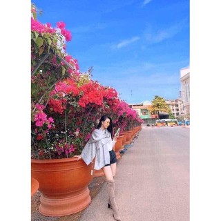 KHĂN DIOR LỤA