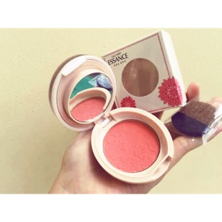 phấn nén má hồng