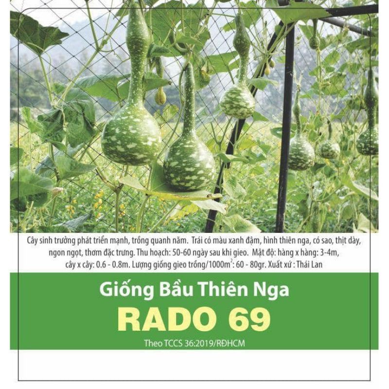 Hạt giống bầu Thiên Nga trái siêu bự